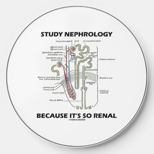 Study Nephrology Because Its So Renal Nephron Wireless Charger