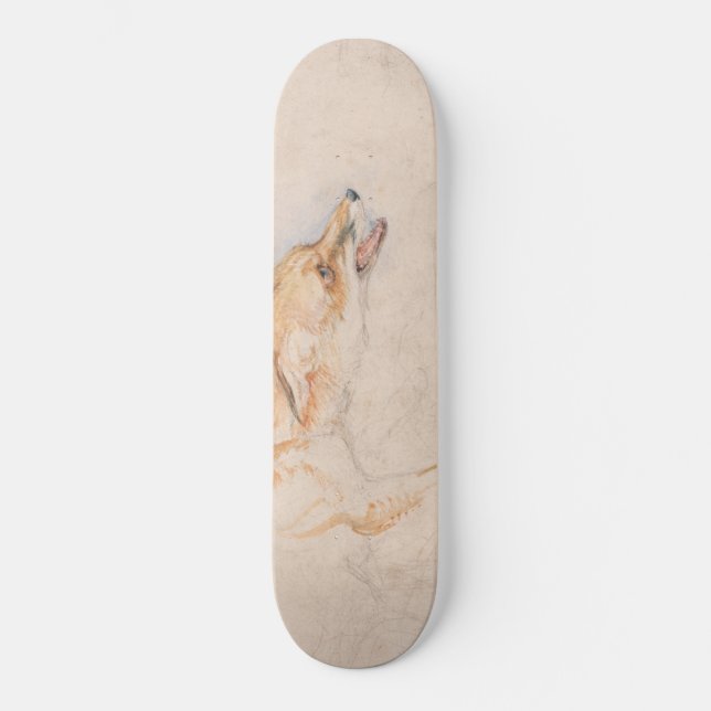 Study of a Crouching Fox (by John Frederick Lewis) Skateboard (Front)