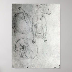 Study of a dog and a cat, c.1480 poster