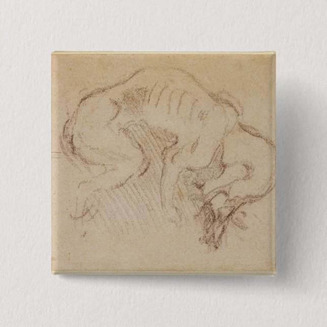Study of a dog button (Front)