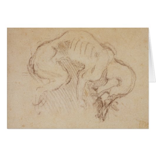 Study of a dog cards (Front Horizontal)