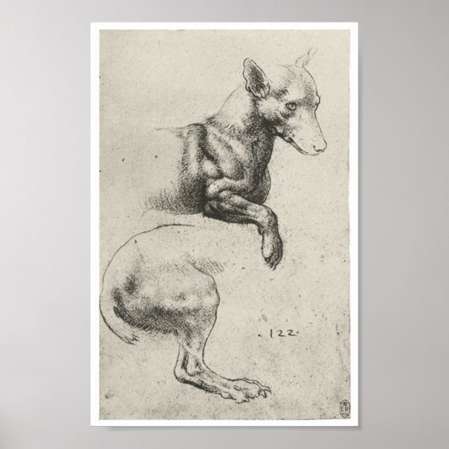 Study of a Dog, Leonardo Da Vinci Poster (Front)