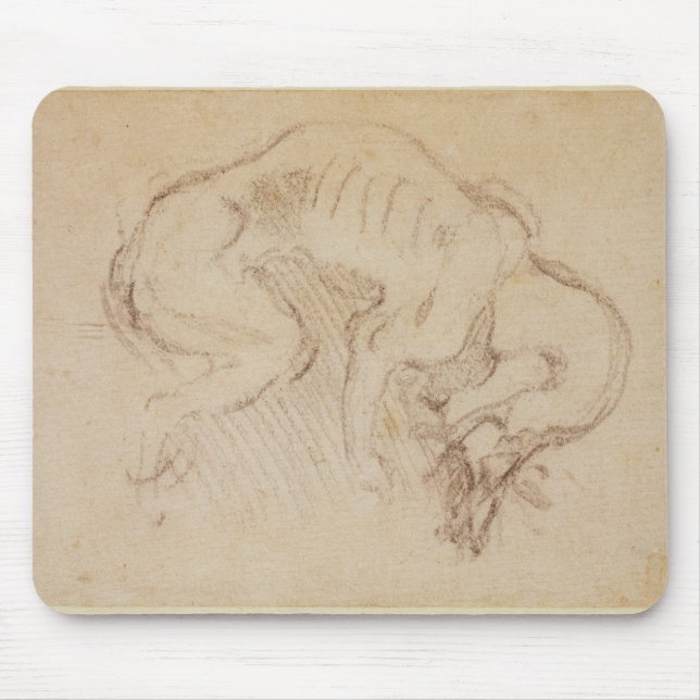 Study of a dog mouse pad (Front)