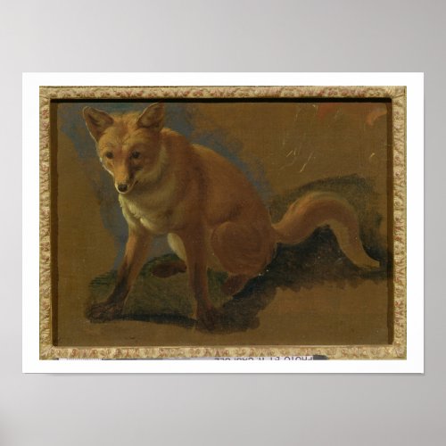 Study of a Fox oil on panel Poster