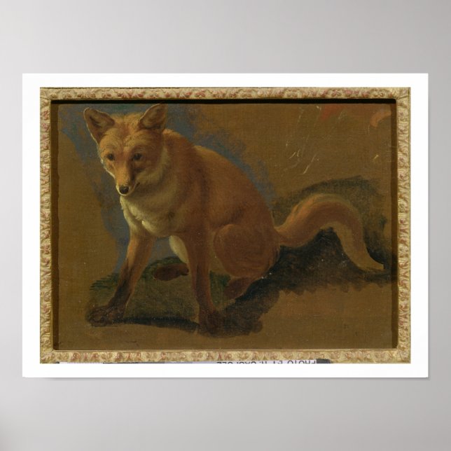 Study of a Fox (oil on panel) Poster (Front)