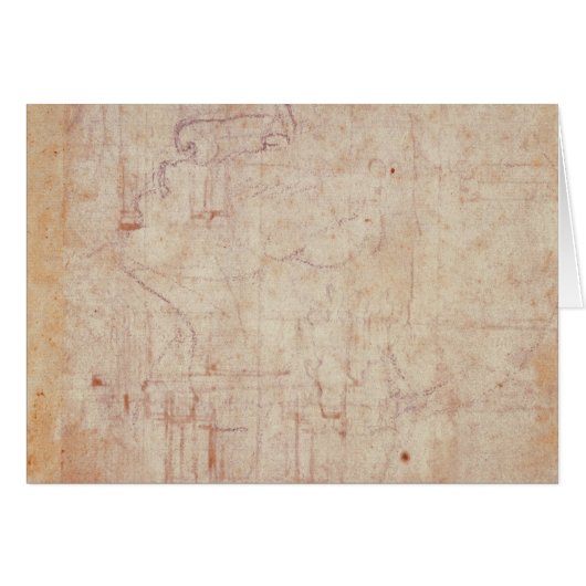 Study of a Head, 1525-26 Cards (Front Horizontal)