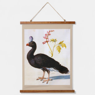 Study of a Helmeted Curassow, Arcimboldo Hanging Tapestry