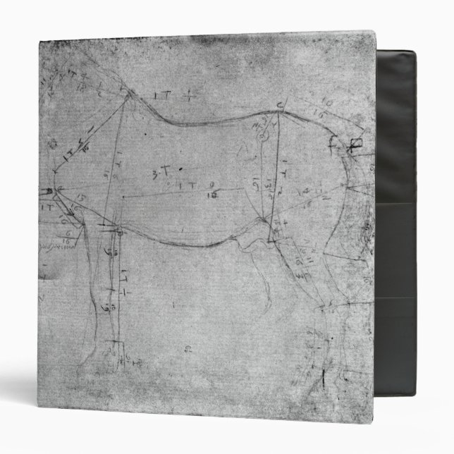 Study of a Horse 3 Ring Binder (Front/Inside)