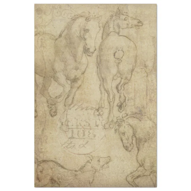 Study of a Horse Decoupage Paper Zazzle
