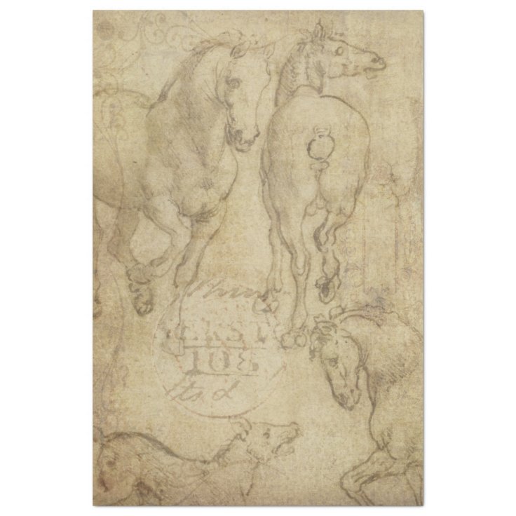 Study of a Horse Decoupage Paper Zazzle