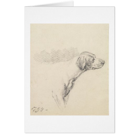 Study of a Hound, 1794 (pencil on paper) Cards (Front)