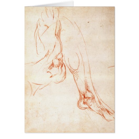 Study of a lower leg and foot cards (Front)