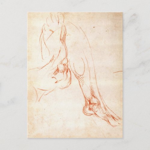Study of a lower leg and foot postcard