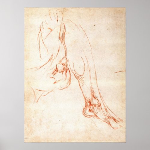 Study of a lower leg and foot poster