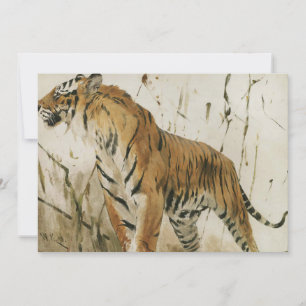 Study of a Tiger Wilhelm Kuhnert