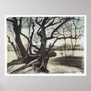 Study Of A Tree By Vincent Van Gogh Poster by FaerieRita at Zazzle