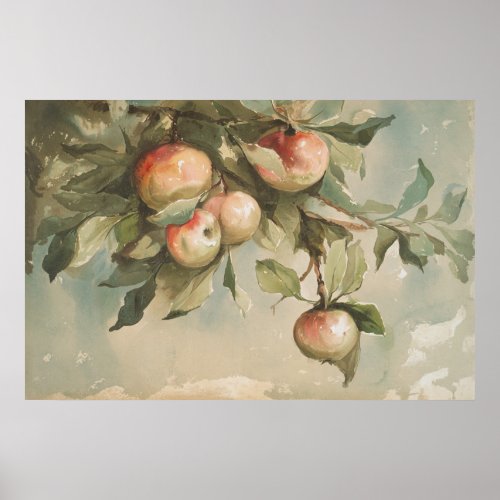Study of Apples Vintage Watercolor Painting Poster