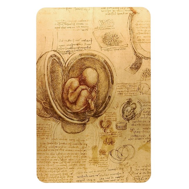 Study of baby fetus by Leonardo da Vinci Magnet (Vertical)