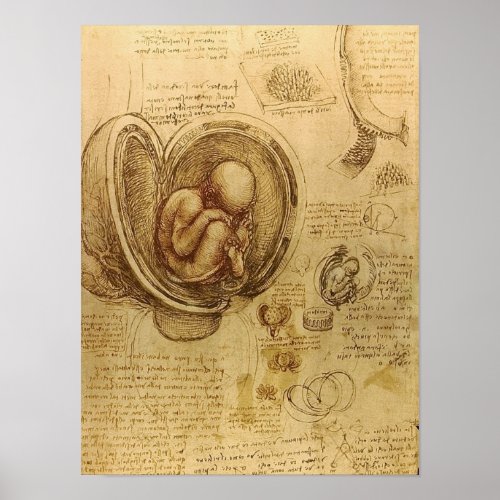 Study of baby fetus by Leonardo da Vinci Poster
