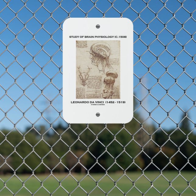 Study Of Brain Physiology (c. 1508) da Vinci Metal Sign (In Situ(Fence))