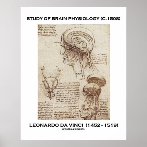 Study Of Brain Physiology Leonardo da Vinci Poster