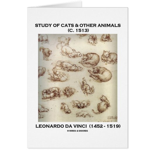 Study Of Cats & Other Animals (Leonardo da Vinci) Cards (Front)