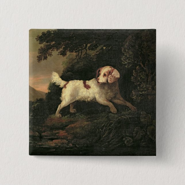 Study of Clumber Spaniel Button (Front)