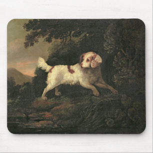 Study of Clumber Spaniel Mouse Pad