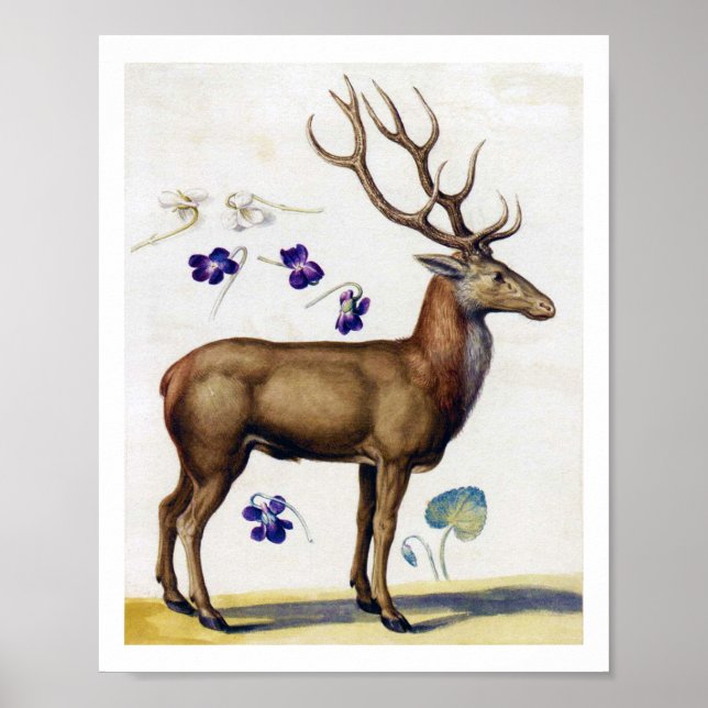 Study of Deer and Flower, Arcimboldo Poster (Front)