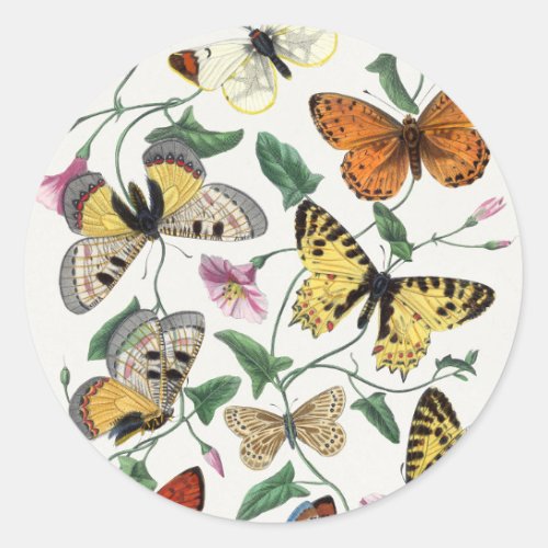 Study of diurnal butterflies by Paul Gervais Classic Round Sticker