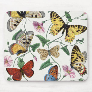 Study of diurnal butterflies by Paul Gervais Mouse Pad