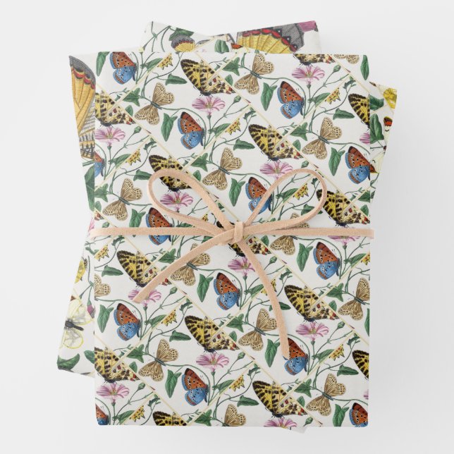 Study of diurnal butterflies by Paul Gervais Wrapping Paper Sheets (In situ)