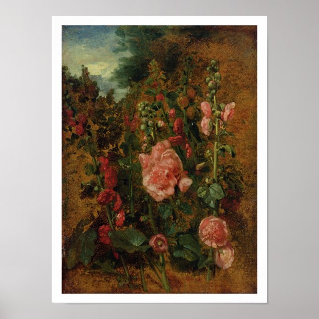 Study of Hollyhocks, c.1826 (oil on board) Poster (Front)