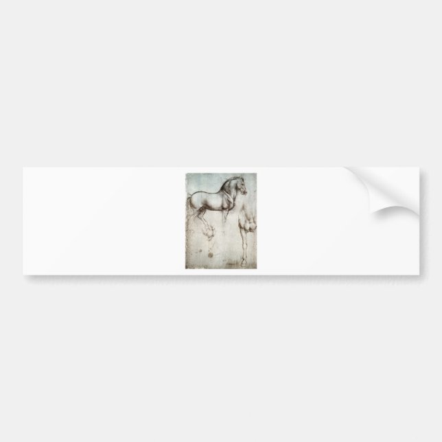 Study of horse. bumper sticker (Front)