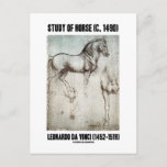 Study Of Horse (c. 1490) Leonardo da Vinci Postcard