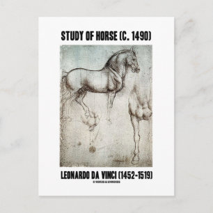 Study Of Horse (c. 1490) Leonardo da Vinci Postcard
