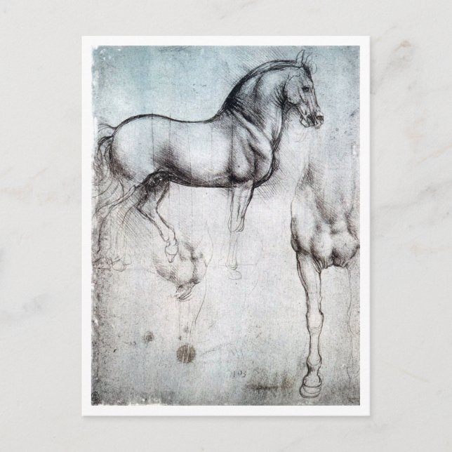 Study of Horse, Leonardo da Vinci Postcard (Front)