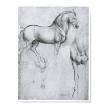 Study of Horses, Leonardo Da Vinci