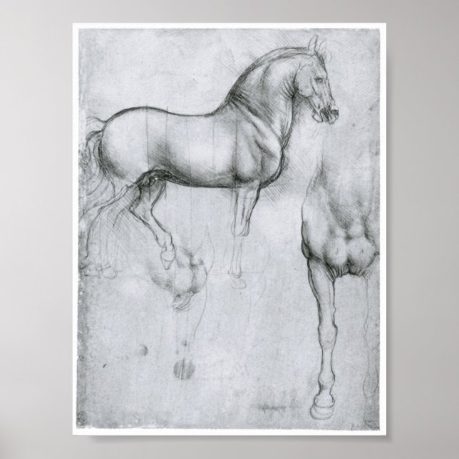 Study of Horses, Leonardo Da Vinci Poster (Front)