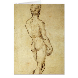 Study of Michelangelo's David Statue by Raphael Cards