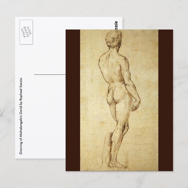 Study of Michelangelo's David Statue by Raphael Postcard (Front/Back)