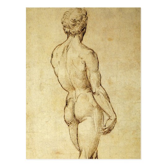 Study of Michelangelo's David Statue by Raphael Postcard