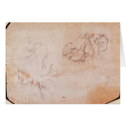 Study of Muscles (Front Horizontal)