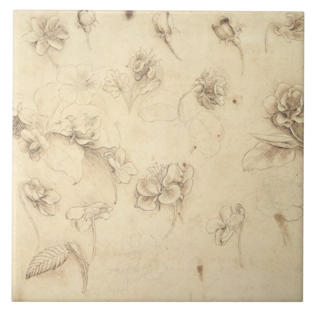 Study of the Flowers of Grass-like Plants (Briza M Ceramic Tile (Front)