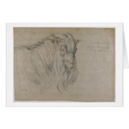 Study of the Head of a Ram black sanguine  whit