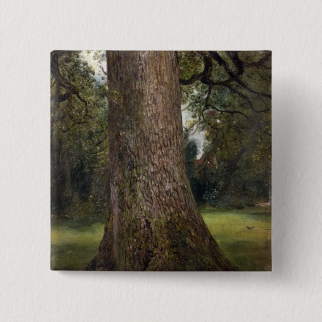 Study of the Trunk of an Elm Tree, c.1821 (oil on Button (Front)