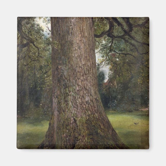 Study of the Trunk of an Elm Tree, c.1821 (oil on Magnet (Front)