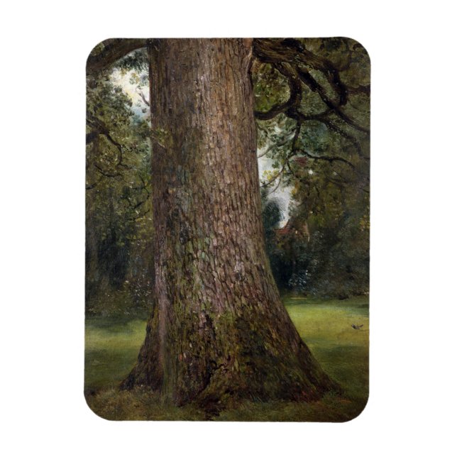 Study of the Trunk of an Elm Tree, c.1821 (oil on Magnet (Vertical)