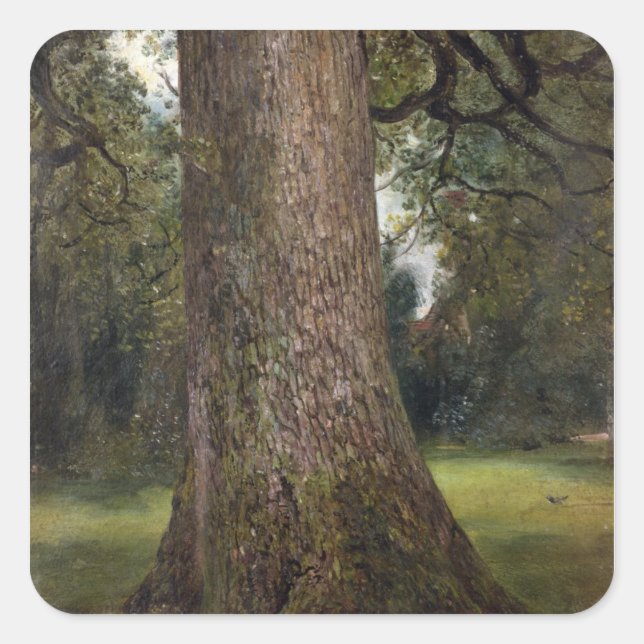 Study of the Trunk of an Elm Tree, c.1821 (oil on Square Sticker (Front)