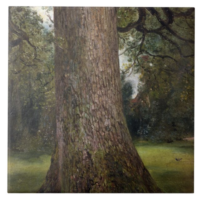 Study of the Trunk of an Elm Tree, c.1821 (oil on Tile (Front)